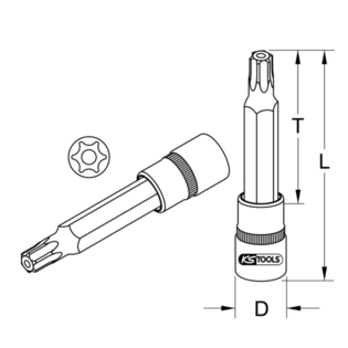 Douilles tournevis torx percé 1/2